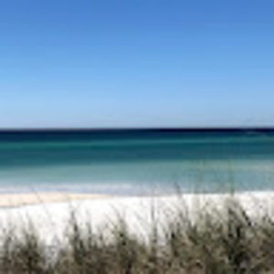 Meet your Posher, Color